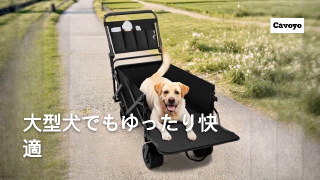 Amazon.co.jp: Cavoyo 犬用 カート 大容量 耐荷重73kg 老犬 ペット